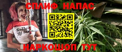 прущие грибы Кинель