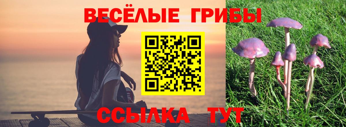 Псилоцибиновые грибы ЛСД Владивосток