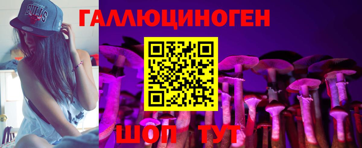Владивосток  Псилоцибиновые грибы прущие грибы  Вход с VPN 